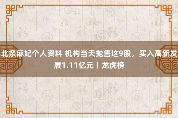 北条麻妃个人资料 机构当天抛售这9股，买入高新发展1.11亿元丨龙虎榜