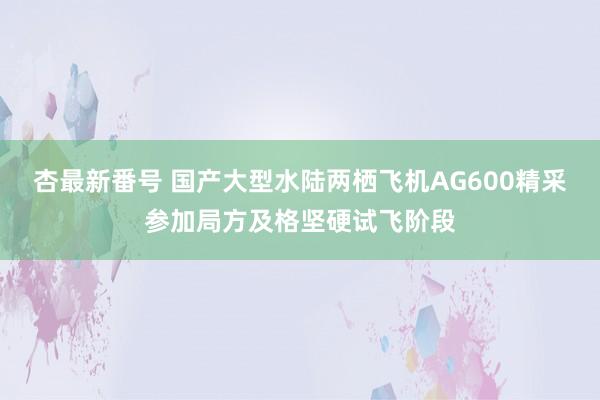 杏最新番号 国产大型水陆两栖飞机AG600精采参加局方及格坚硬试飞阶段