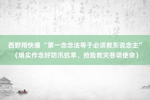 西野翔快播 “第一念念法等于必须救东说念主”（塌实作念好防汛抗旱、抢险救灾各项使命）