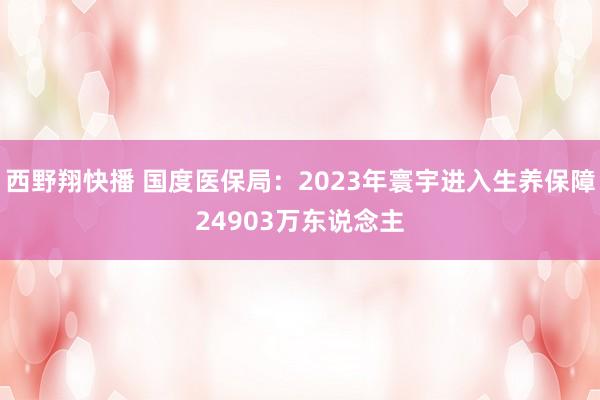 西野翔快播 国度医保局：2023年寰宇进入生养保障24903万东说念主