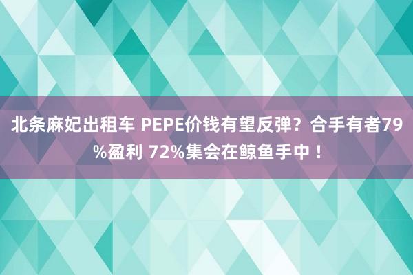 北条麻妃出租车 PEPE价钱有望反弹？合手有者79%盈利 72%集会在鲸鱼手中 !