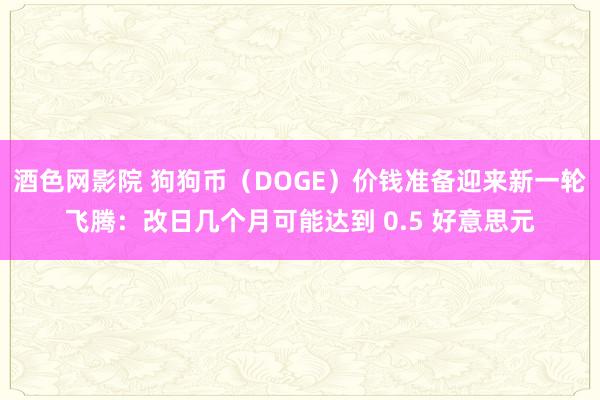 酒色网影院 狗狗币（DOGE）价钱准备迎来新一轮飞腾：改日几个月可能达到 0.5 好意思元