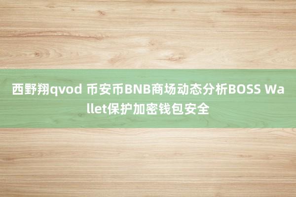 西野翔qvod 币安币BNB商场动态分析BOSS Wallet保护加密钱包安全