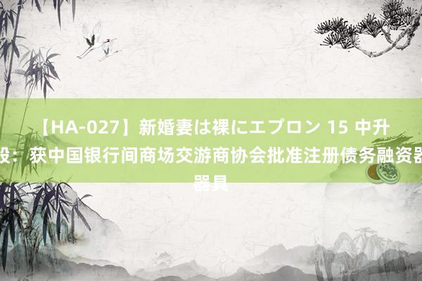 【HA-027】新婚妻は裸にエプロン 15 中升控股：获中国银行间商场交游商协会批准注册债务融资器具