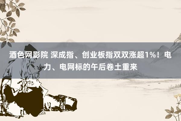 酒色网影院 深成指、创业板指双双涨超1%！电力、电网标的午后卷土重来