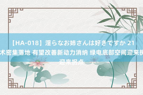 【HA-018】淫らなお姉さんは好きですか 21 战术密集落地 有望改善新动力消纳 绿电底部空间迎来拐点