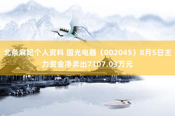 北条麻妃个人资料 国光电器（002045）8月5日主力资金净卖出7107.03万元