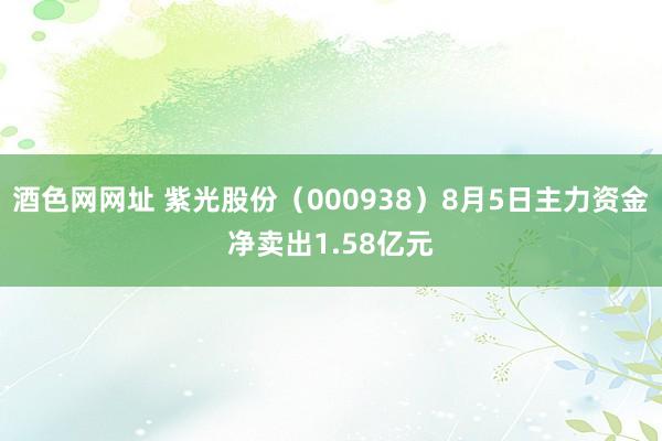 酒色网网址 紫光股份（000938）8月5日主力资金净卖出1.58亿元