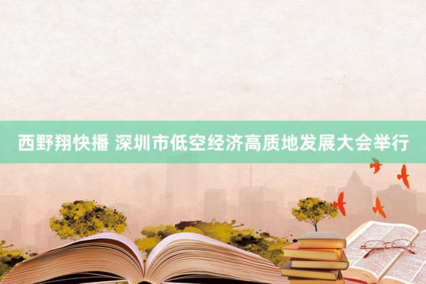 西野翔快播 深圳市低空经济高质地发展大会举行