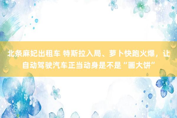 北条麻妃出租车 特斯拉入局、萝卜快跑火爆，让自动驾驶汽车正当动身是不是“画大饼”