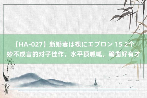 【HA-027】新婚妻は裸にエプロン 15 2个妙不成言的对子佳作，水平顶呱呱，确凿好有才