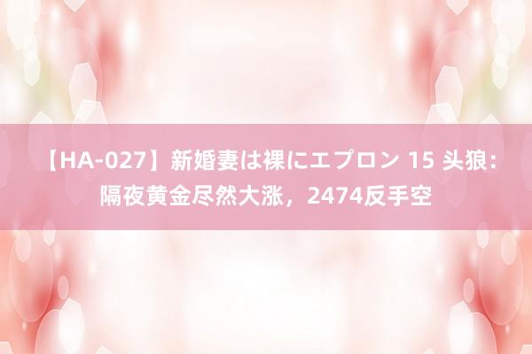 【HA-027】新婚妻は裸にエプロン 15 头狼：隔夜黄金尽然大涨，2474反手空