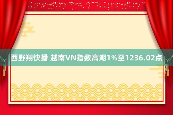 西野翔快播 越南VN指数高潮1%至1236.02点