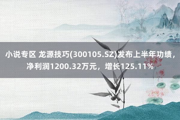 小说专区 龙源技巧(300105.SZ)发布上半年功绩，净利润1200.32万元，增长125.11%