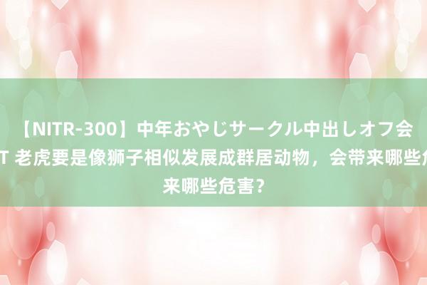 【NITR-300】中年おやじサークル中出しオフ会 BEST 老虎要是像狮子相似发展成群居动物，会带来哪些危害？