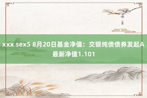 xxx sex5 8月20日基金净值：交银纯债债券发起A最新净值1.101