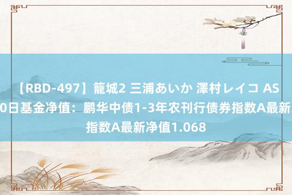 【RBD-497】籠城2 三浦あいか 澤村レイコ ASUKA 8月20日基金净值：鹏华中债1-3年农刊行债券指数A最新净值1.068