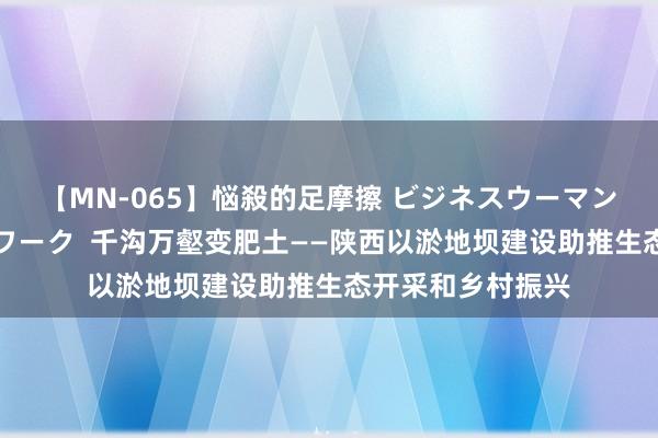 【MN-065】悩殺的足摩擦 ビジネスウーマンの淫らなフットワーク  千沟万壑变肥土——陕西以淤地坝建设助推生态开采和乡村振兴