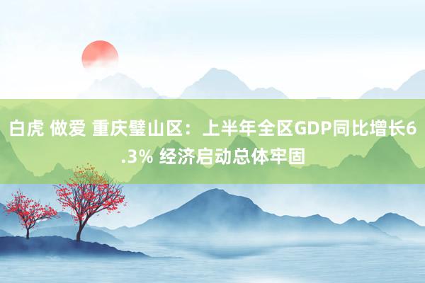 白虎 做爱 重庆璧山区：上半年全区GDP同比增长6.3% 经济启动总体牢固