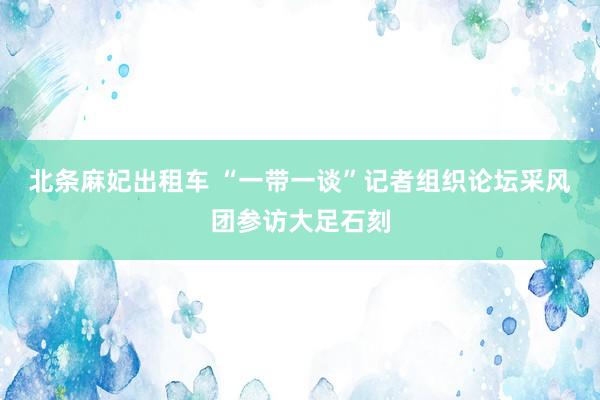 北条麻妃出租车 “一带一谈”记者组织论坛采风团参访大足石刻