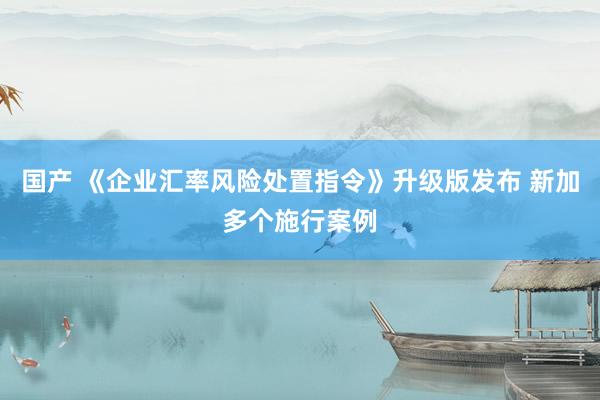 国产 《企业汇率风险处置指令》升级版发布 新加多个施行案例