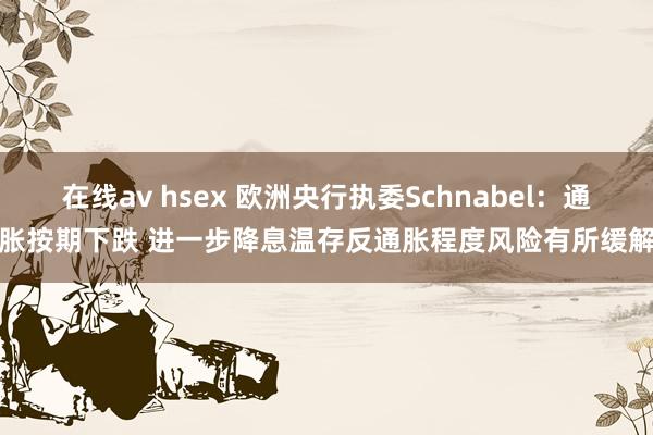 在线av hsex 欧洲央行执委Schnabel：通胀按期下跌 进一步降息温存反通胀程度风险有所缓解