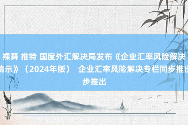 裸舞 推特 国度外汇解决局发布《企业汇率风险解决请示》（2024年版）  企业汇率风险解决专栏同步推出