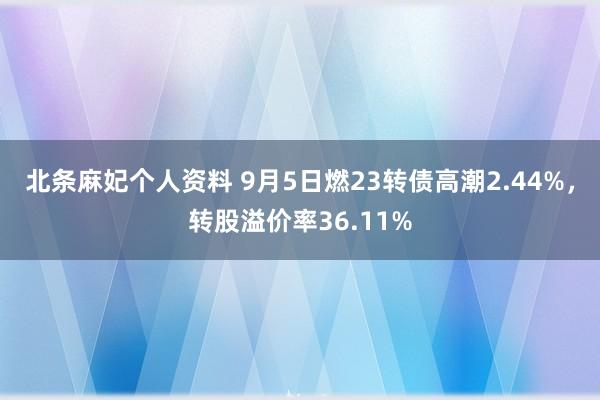 北条麻妃个人资料 9月5日燃23转债高潮2.44%，转股溢价率36.11%