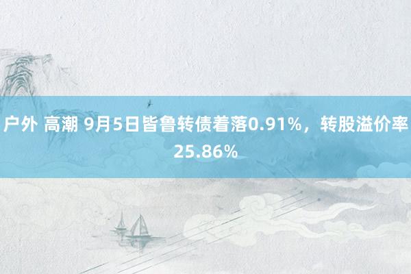 户外 高潮 9月5日皆鲁转债着落0.91%，转股溢价率25.86%