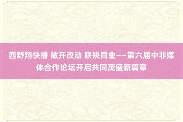 西野翔快播 敞开改动 联袂同业——第六届中非媒体合作论坛开启共同茂盛新篇章