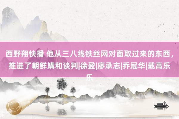 西野翔快播 他从三八线铁丝网对面取过来的东西，推进了朝鲜媾和谈判|徐盈|廖承志|乔冠华|戴高乐