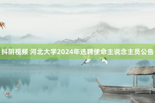 抖阴视频 河北大学2024年选聘使命主说念主员公告